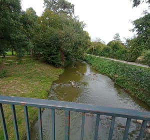 Balade au bord de l'eau à Thoissey - Thoissey - 5