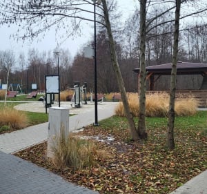 Stawy w Dominowie - Dominów - 2