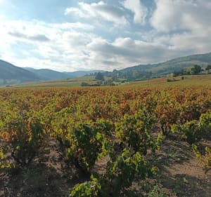Circuit des 3 châteaux, départ de Quincié - Quincié-en-Beaujolais - 2