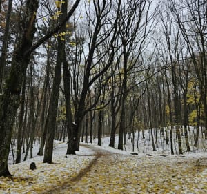 Spacer po Górze Chelmskiej, Koszalin - Adam - 3