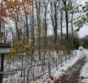 Spacer po Górze Chelmskiej, Koszalin - Koszalin - 2