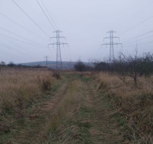 Pętla z Jelenia na Glinną Górę - Tomasz - 2