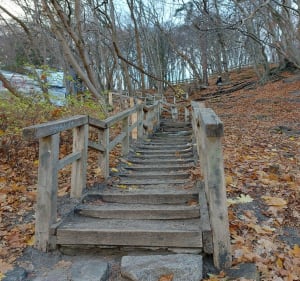 Gdynia - trasa widokowo-parkowa - Gdynia - 2