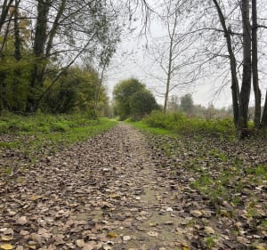Promenade de santé Tresme - Pommeuse - 2