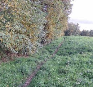 Boucle sur le plateau Nord lyonnais - Sathonay-camp / Beynost - Sathonay-Camp - 2