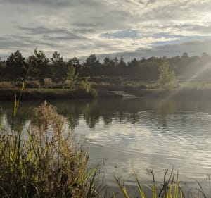 Rando La Marguerite - Nérac - 2