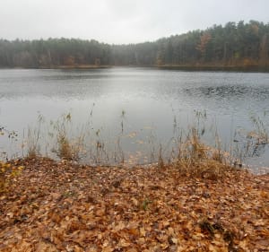 Trasa Redykajny - Dywity - Olsztyn - 2