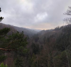 Tancirna - jarmark bożonarodzeniowy, zamek Rychleby - Uhelná - 2