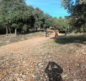Bain de nature à VTT sur le massif au Nord de Draguignan - Draguignan - 4