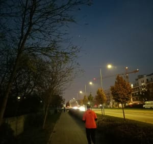 Jesienny 10 km spacer z historią i po malowniczym parku - Wrocław - 2