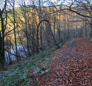 Barrage du Cottatay - Saint-Romain-les-Atheux - 2