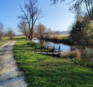 WIEŻA WIDOKOWA ŁYSAKÓW I PRZYSTAŃ KAJAKOWA NAD R.BYSTRZYCĄ - Łysaków - 2