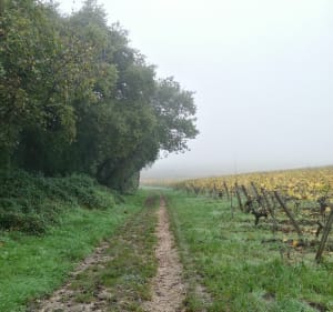 Clos cristal - Karin - 3