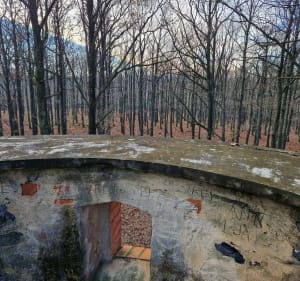 Bazaltowa Góra Paszowice - Paszowice - 2