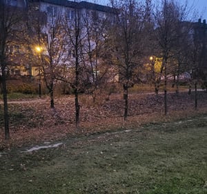 Wokół poligonu - Abramowice Prywatne - 2