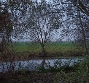 Przejażdżka rowerowa wokół radłowsko-zacharzewskich pól - Ostrów Wielkopolski - 2