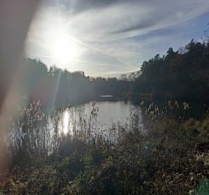 Spacer leśnymi ścieżkami w okolicach Stawu Browarnego - Poznań - 2