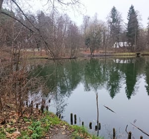 Aktywnie w Lesie Miejskim - Olsztyn - 2