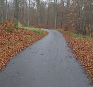 Pętla z Niedźwiednika - Gdańsk - 2