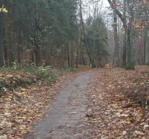 Pętla z Niedźwiednika - Tomasz - 2
