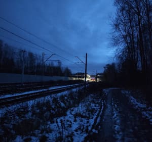 Brzęczkowice - las - Mysłowice - 2