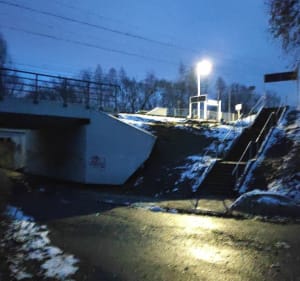 Brzęczkowice - las - Grzegorz - 2