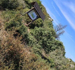 La nature en Alaric - FREDERIC - 3