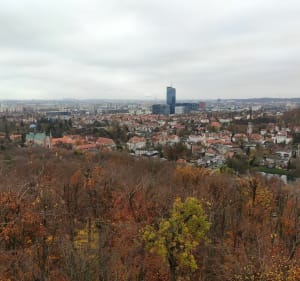 Oliwa: punkt widokowy Pachołek i widok na całe miasto Gdańsk - Artur - 3