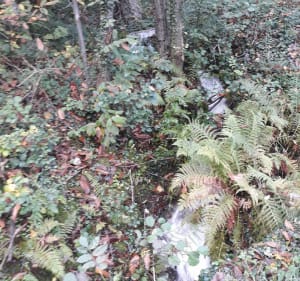 Boucle du Fayet - Sablons - 3