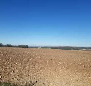 Balade au soleil - Serrigny - 3