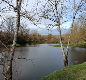 Moselle Sauvage (RNR) - Bainville-aux-Miroirs - 4