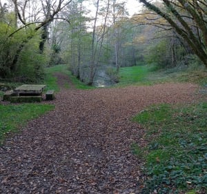 Boucle du Boulou - Paussac-et-Saint-Vivien - 5