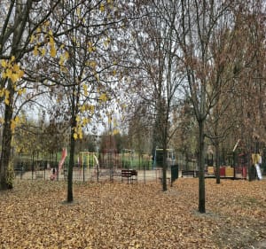 Spacer w Parku Jana Kasprowicza - Radosław - 5
