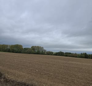 Rando autour de Juniville, par la Bouteille - Thierry - 3