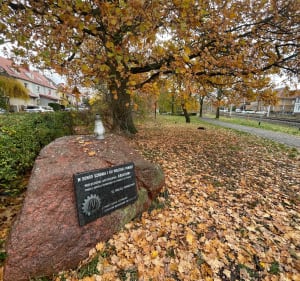 Spacer przez parki starego Pogodna - Szczecin - 2