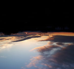Sur les hauteurs de Brunstatt ... - Brunstatt-Didenheim - 2