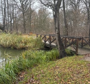 Las Leśnicki i jeziorka. - Łukasz - 2