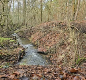 Szybka dyszka - Puszczykowo - 2