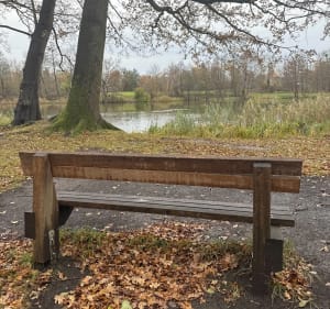 Las Leśnicki i jeziorka. - Wrocław - 2