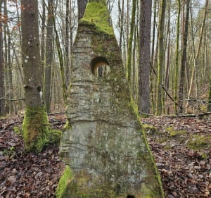 Château / Ruine de Lutzelhardt près de Sturzelbronn - Cyrille - 3