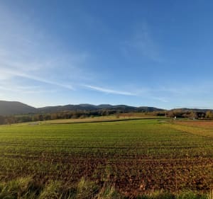 Au dessus de Bourbach-le-bas - Bourbach-le-Bas - 2