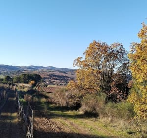 De Leuc à Verzeille dans la campagne de la vallée du Lauquet - Leuc - 2