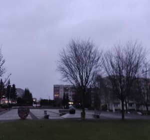 Szlakiem Libiąskich murali - Libiąż - 2