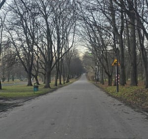 Katowice - pętla po Parku Śląskim - Dominika - 4