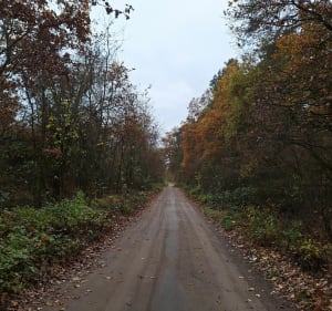 Przecław Pętla - Lulin - Nieczajna - Przecław - 3