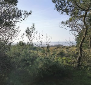 Boucle Grand-village/ Vertbois - Le Grand-Village-Plage - 2