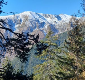La cime de Piagu par le collet de Cotignol - Saint-Martin-Vésubie - 2
