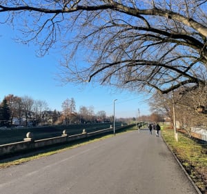 Spacer w okolicach Błoń i Rudawy w Krakowie - Kraków - 2