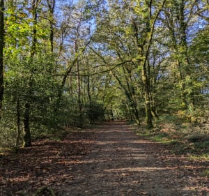 Du Canal de Nantes à Brest aux Landes de Lan Bern - Glomel - 2