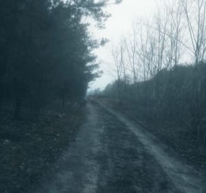 Bieganie to zdrowie. - Nowy Prażmów - 2